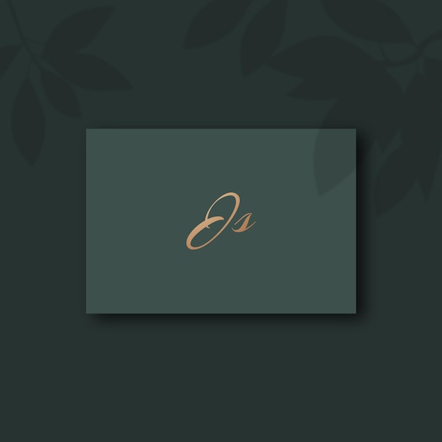 js logo design vector image