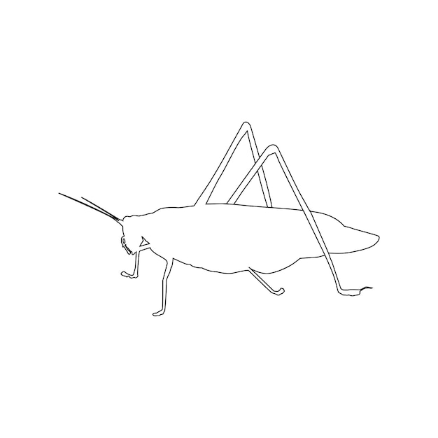 katydid grasshopper icon