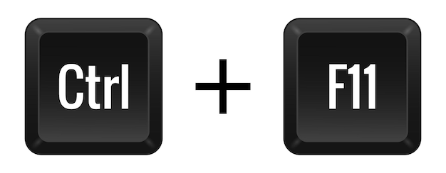 Key combination Ctrl f11 line icon Modern efficient ergonomic technology typing office essentials input device innovation userfriendly Vector linear icon for business and advertising