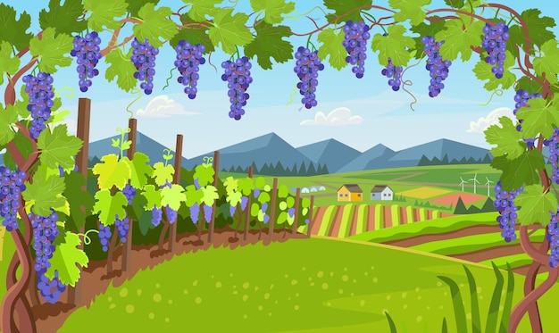 Landscape with of vineyard. Village with fields of greenhouses and grapes in the foreground.