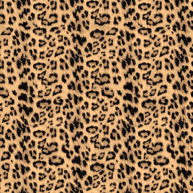leopard vector hand drawn design vector cheetah animal print