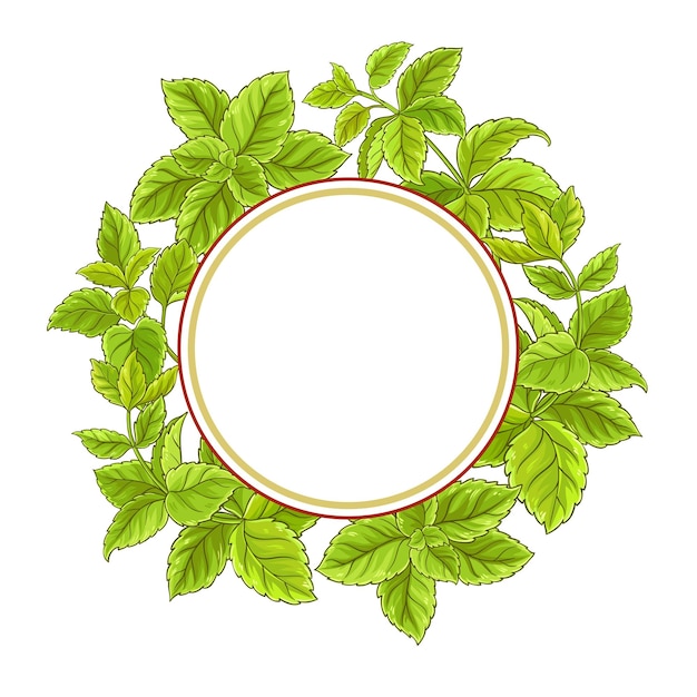 melissa plant vector frame on white background