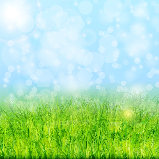 Nature background with green grass and blue sky vector