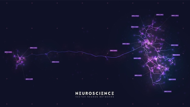 Neuron system model Neural net structure Research of the human nerve network Digital artificial organism Human mind cells data analysis Mapping neurons for computer link