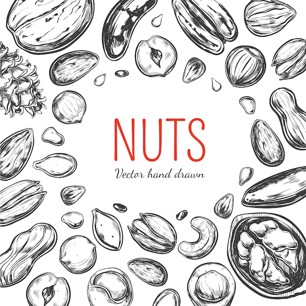 nuts and seeds frame. hand drawn objects