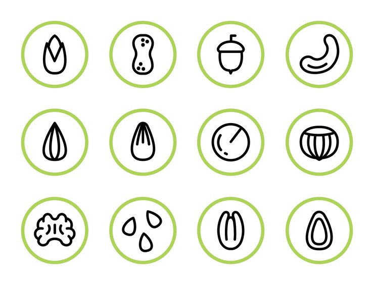 Vector nuts vector line icons peanuts almonds chestnuts cashews pistachios hazelnuts walnuts health