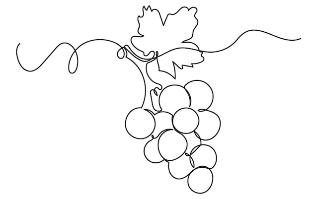 One continuous line drawing of a grape bunch minimalist and clean A simple line art grape isolate