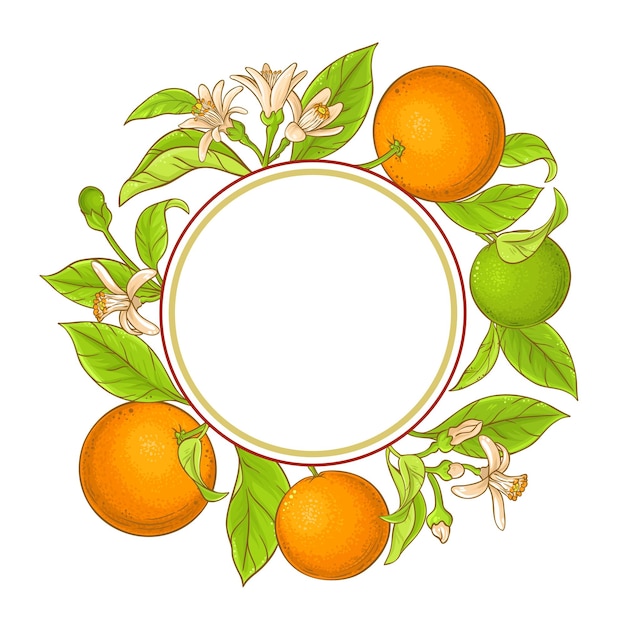 orange branch vector frame on white background