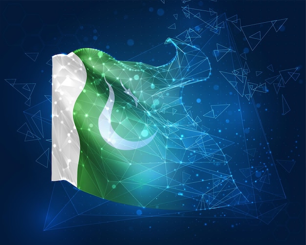 Pakistan vector flag virtual abstract 3D object from triangular polygons on a blue background