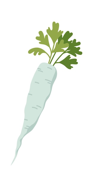 Parsley flat icon Green decor for borscht