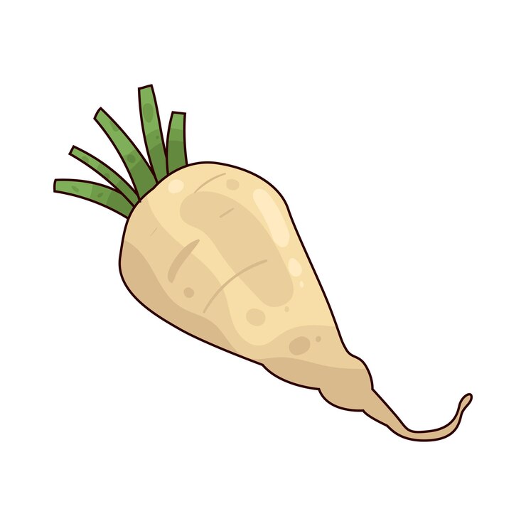 Vector parsnip
