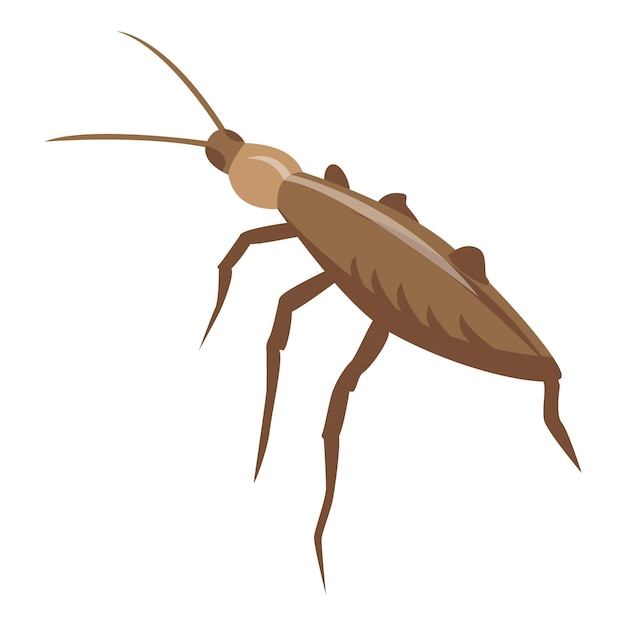 Pest cockroach icon Isometric of pest cockroach vector icon for web design isolated on white background