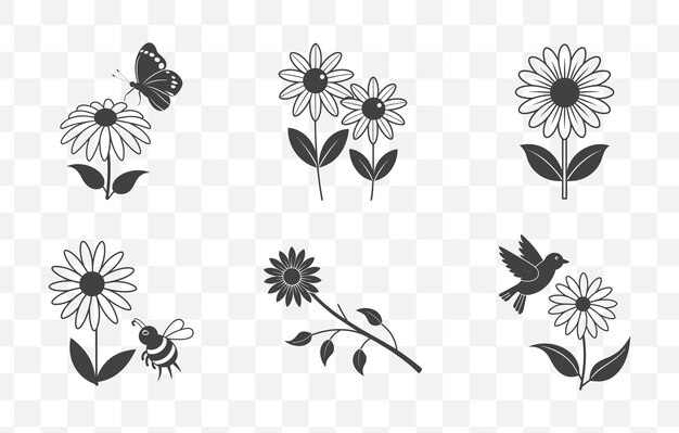 Print Black Eyed Susan Flower Line Art Vector Set Detailed Botanical Illustration Collection