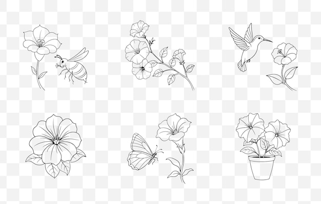 Print Petunia Flower Line Art Vector Set Elegant Detailed Botanical Illustrations for Design and Dec
