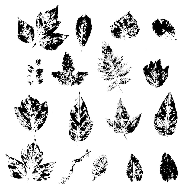 Prints of leaves vector silhouettes greenery and plants