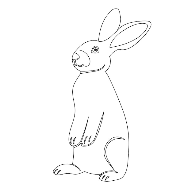 rabbit sketch outline icon isolated vector