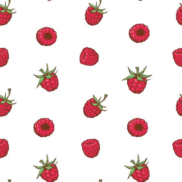 Raspberry berry with leaves illustrations vector seamless pattern design engraving style floral elements for fabric wallpaper