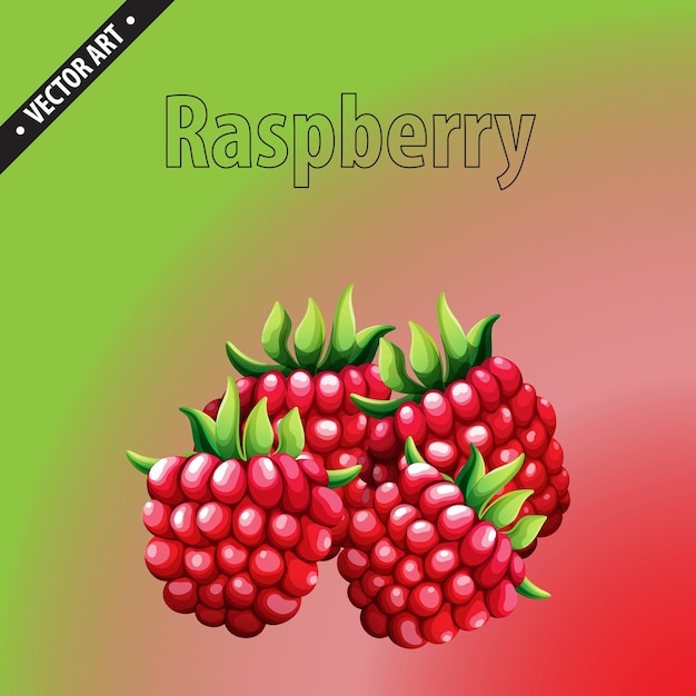 Raspberry Fruits Fresh amp Fully Vector Art Background