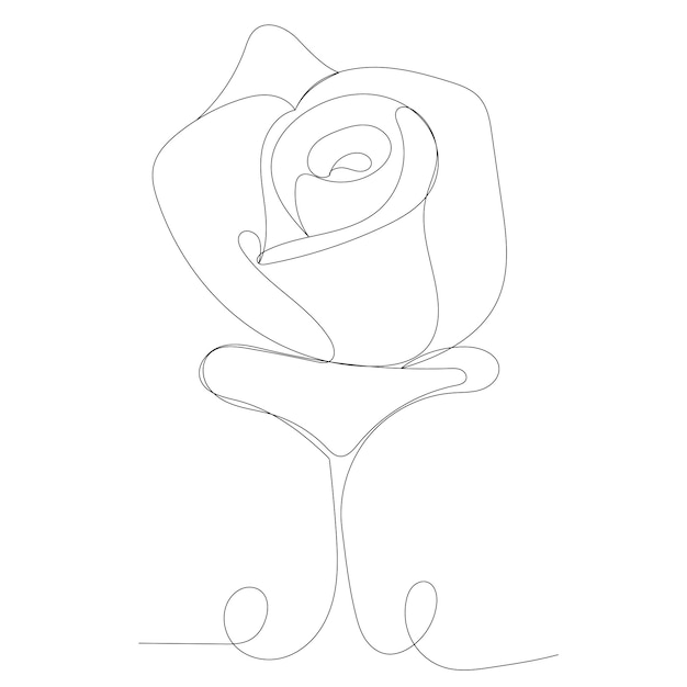 rose drawing in one line on an abstract background vector
