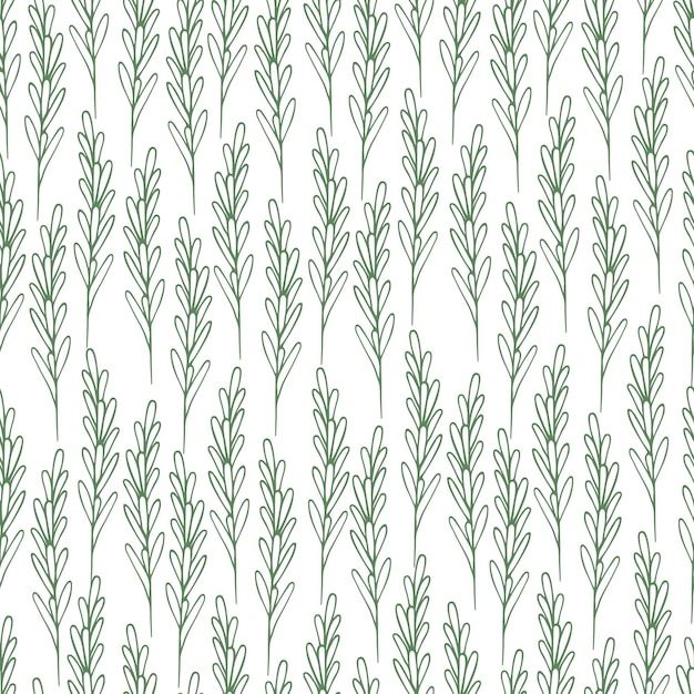 Rosemary seamless floral pattern of green fragrant sprig spice in doodle style