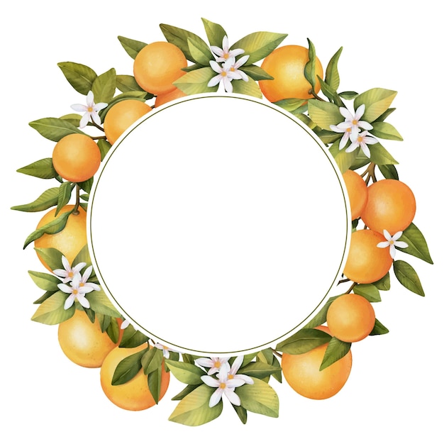 Round frame of hand drawn watercolor blooming orange tree branches flowers and oranges
