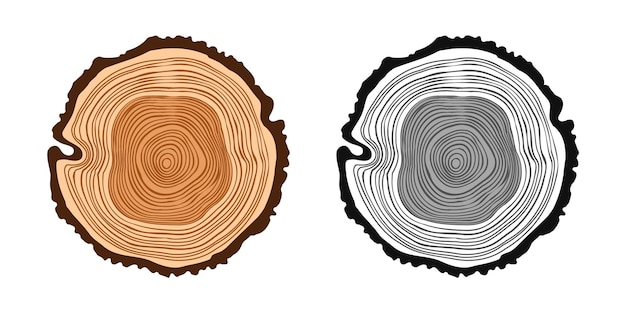 Round tree trunk cuts in various colors sawn pine or oak slices lumber saw cut timber wood brown