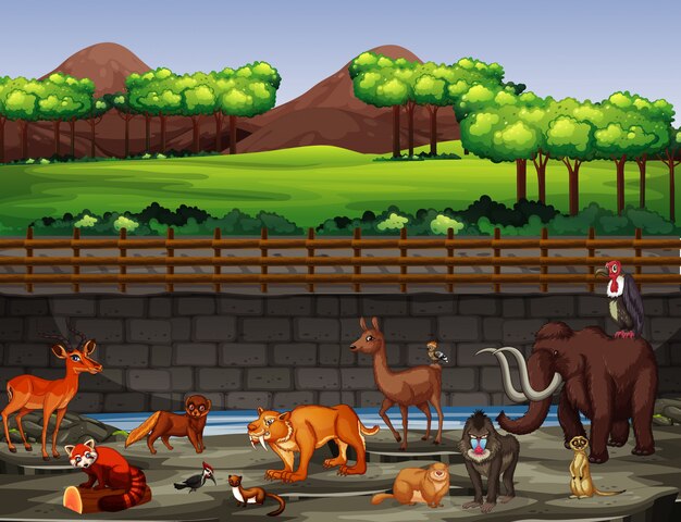 Scene with many animals at the zoo