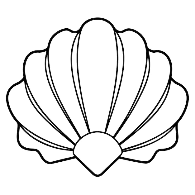 Seashell outline Coloring Book book page for kids line art drawing isolated on white background