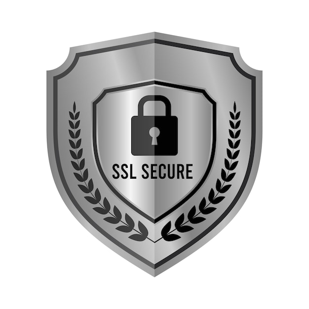 Secure ssl Encryption Logo Secure Connection Icon Vector Illustration Ssl Certificate Icon Secure