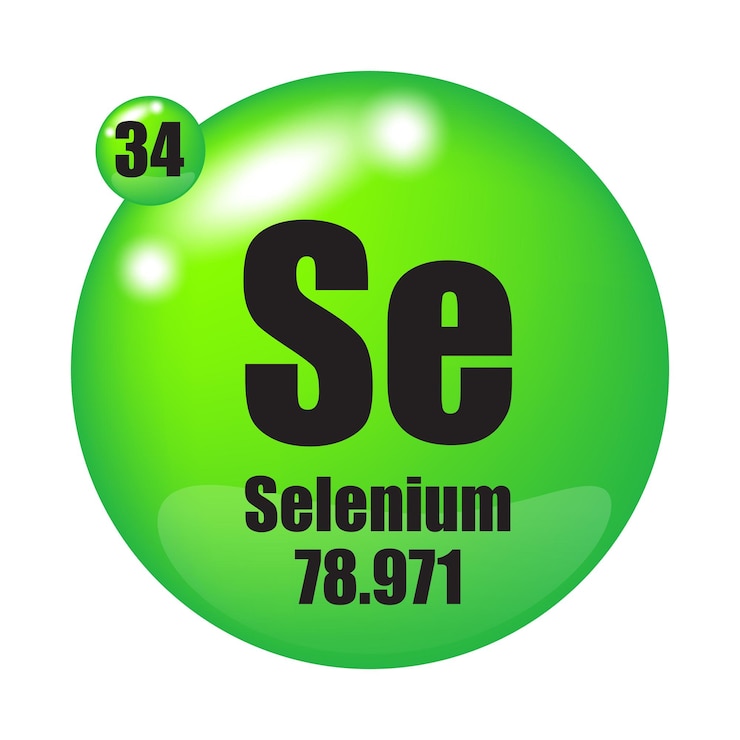 Vector selenium element symbol se abbreviation atomic number 34 atomic mass 78971