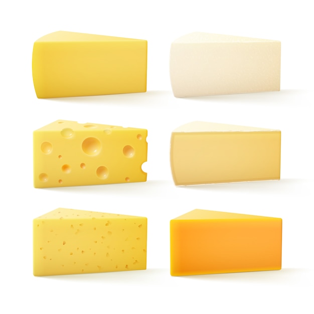 Set of Cheese Swiss Cheddar Bri Parmesan Camembert