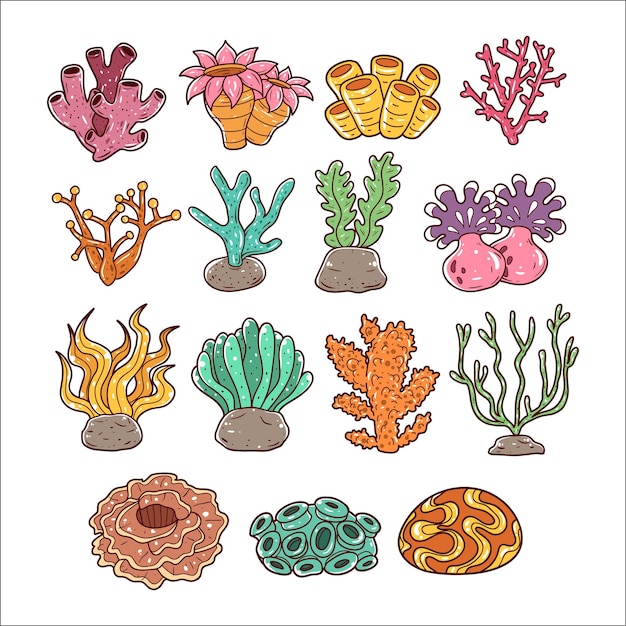 Set of coral reef hand drawn illustration