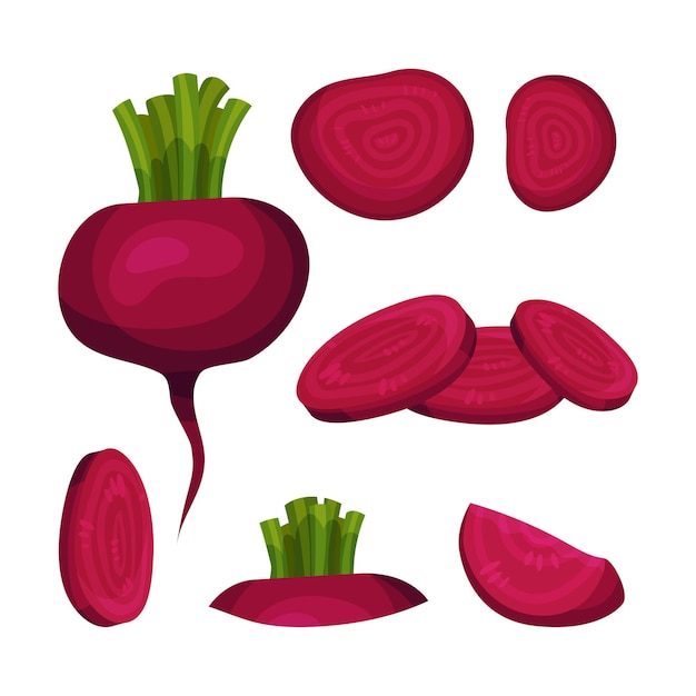 set of red beets whole with tops quarter cut into circles vector illustration on white background