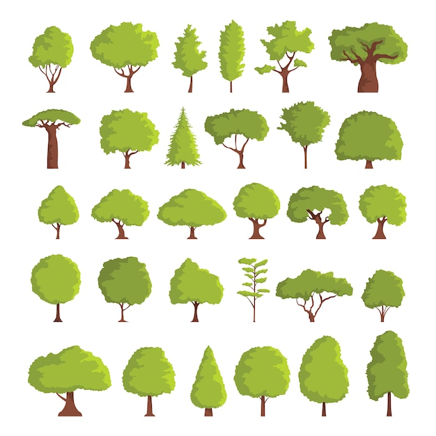 Set of spring or summer abstract stylized trees. Natural illustration.
