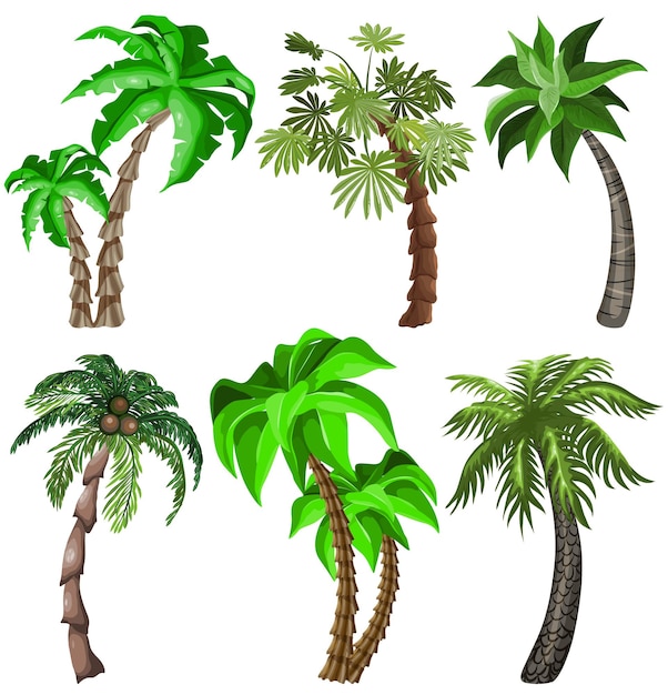 Set of Tropical plants