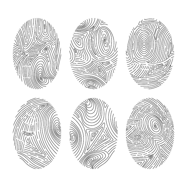 Set of vector fingerprints Human biometric fingerprints unique thumb line prints