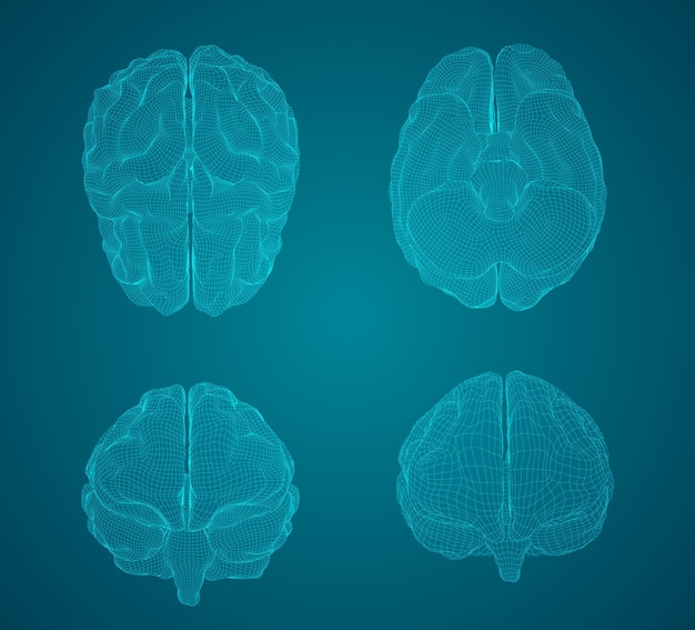 Set threedimensional vector cyber brain