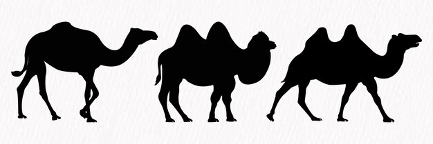 silhouette set of desert camel with humps standing running and walking