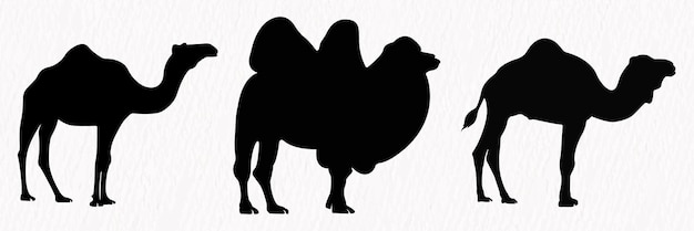 silhouette set of desert camel with humps standing running and walking