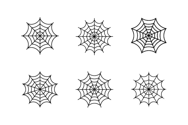 spider web line art vector illustration
