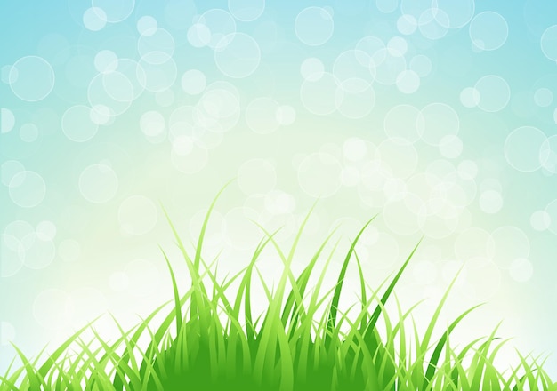 Spring Meadow