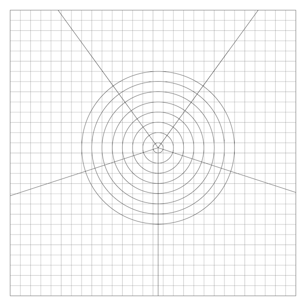 target made of circles divided into equal sections