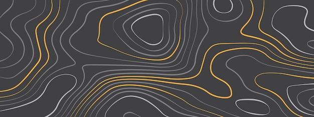 The stylized colorful topographic map with lines and circles background Topographic contours map