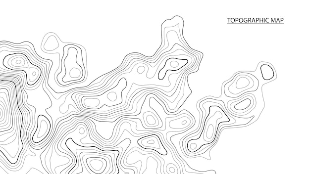 topographic contour map on white background vector grid map