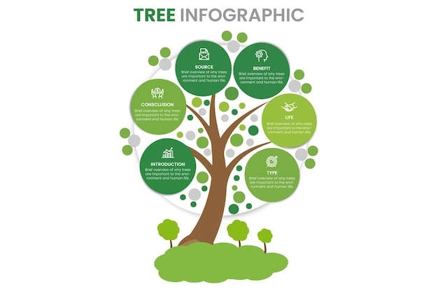 Tree infographic with icons numbers and placeholder text Green business diagram and template Vec