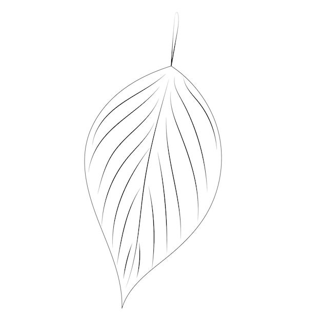 tree leaf sketch on white background outline isolated vector