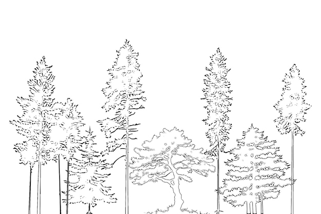 Tree line drawing in a minimalist style using CAD side view and a collection of visuals for architecture