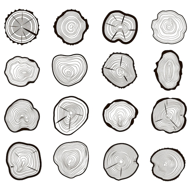 Tree Rings Set Saw Cut Trunk with Cracks and Black Lines Wooden Texture