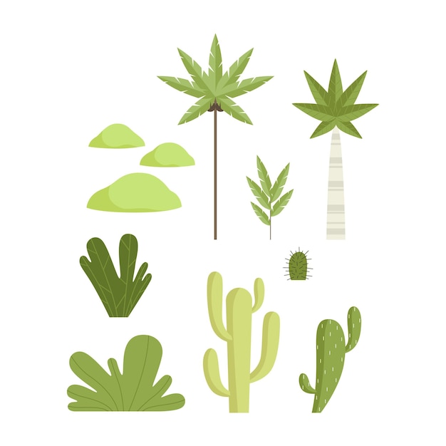 Tropical and desert botanical plants set landscape constructor design elements vector illustration