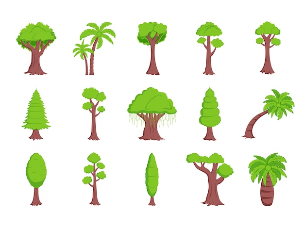 Tropical Tree Element Illustration